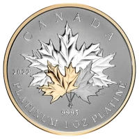 Representative Canadian Platinum Maple Leaf — 1 oz