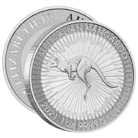 Representative Silver Kangaroo — 1 oz
